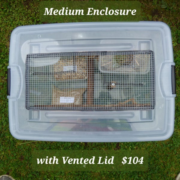 Medium Mouse Enclosure with vented lid Carousel 2