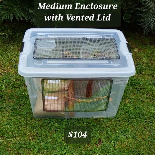 Medium Mouse Enclosure with vented lid Carousel 1