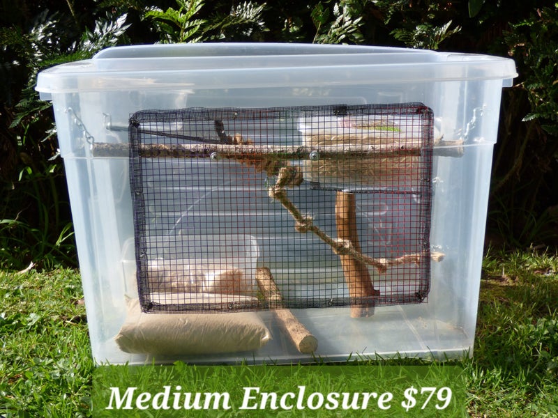 Medium Mouse Enclosure - Full Setup Carousel 2