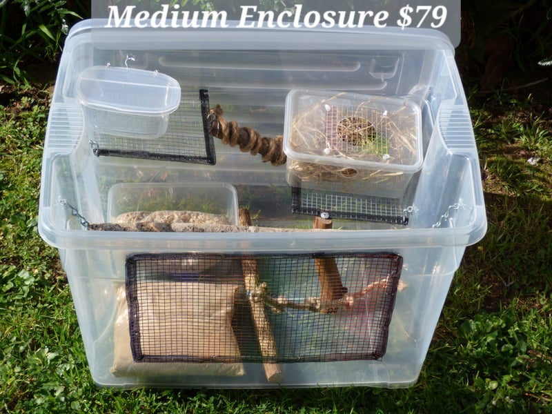 Medium Mouse Enclosure - Full Setup Carousel 1