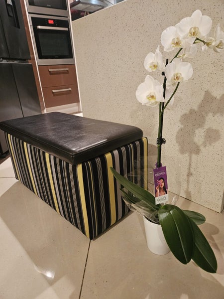 Ottoman with the storage Carousel 5