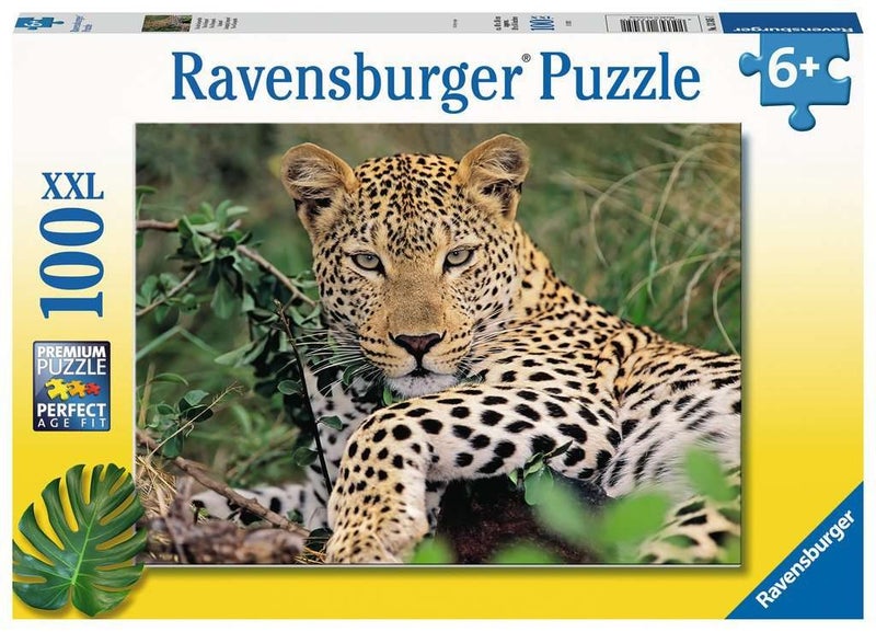 RB Lounging Leopard 100pc Carousel 1