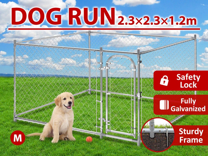Dog Run Carousel 1