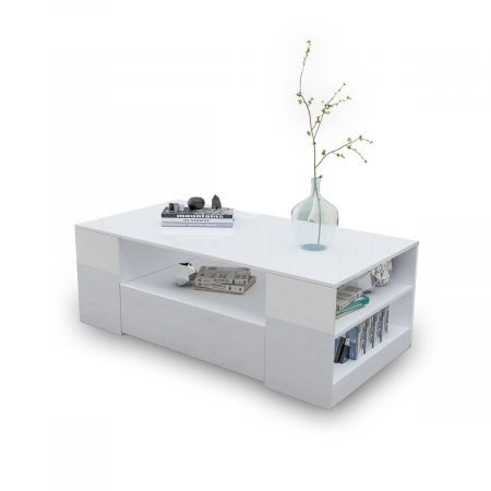 Coffee Table Storage Carousel 1