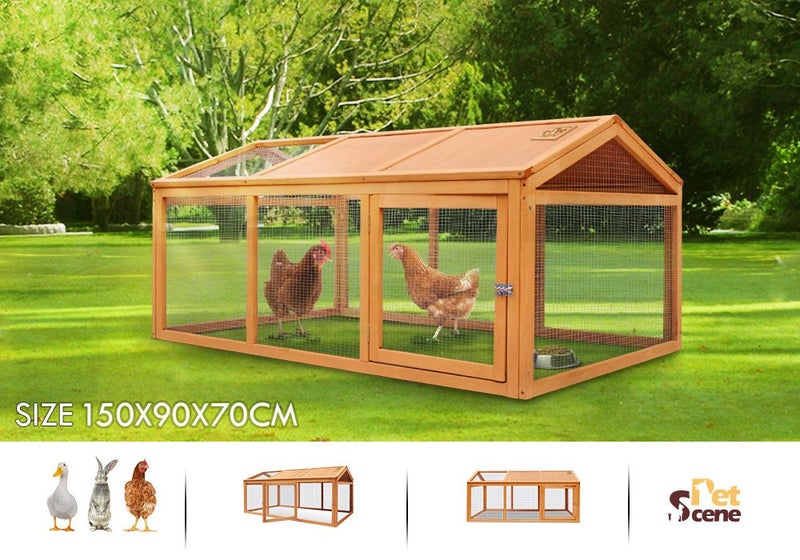 Chicken Coop Carousel 2