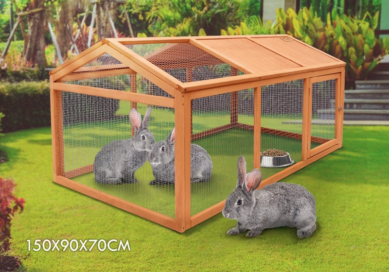 Chicken Coop Carousel 1