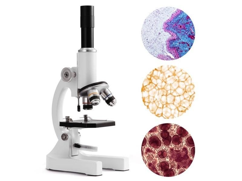 64X-2400X Monocular Optical Microscope Elementary School Children Science Carousel 1