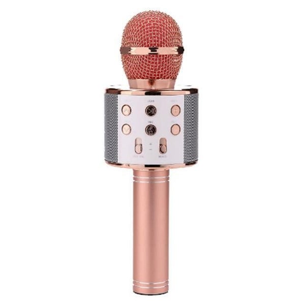 Portable Wireless Karaoke Microphone- USB Charging Carousel 1