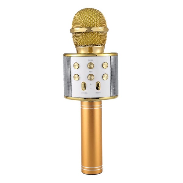 Portable Wireless Karaoke Microphone- USB Charging Carousel 2