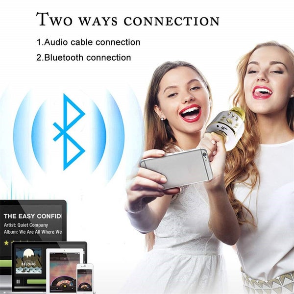 Portable Wireless Karaoke Microphone- USB Charging Carousel 5
