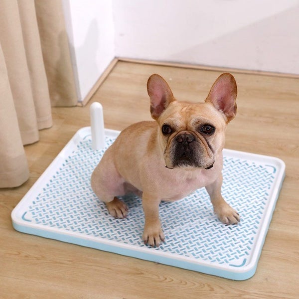 Large/Small Dog Potty Tray | Pee Pad Holder | Durable ABS | Indoor/Outdoor Use Carousel 2