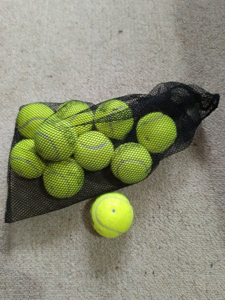 10 Squeaky dog balls Carousel 1