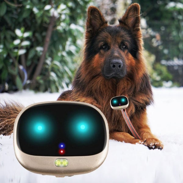 GPS Pet Collar Tracking System Device Carousel 1