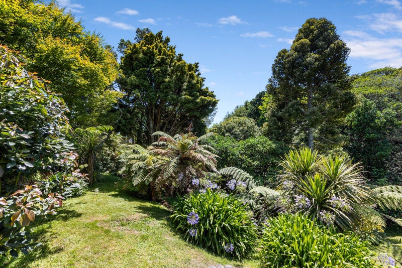 Image 1 of 24