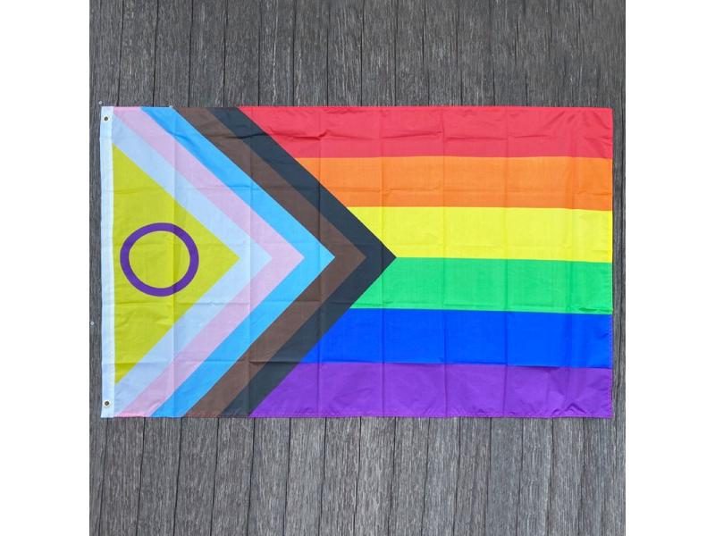 Rainbow Flag 90x150cm For LGBTQIA Ace Community Asexuality Carousel 2