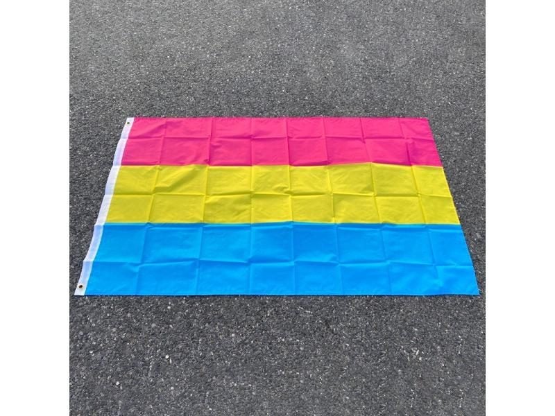 Aerlxemrbrae 90 150cm Omnisexual LGBT Pride Pansexual Flag For Decoration Carousel 2