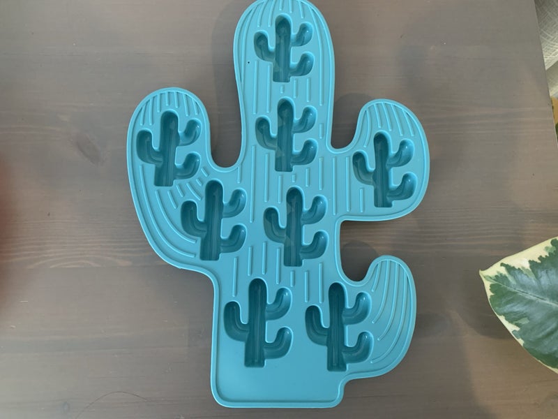 Silicone Cactus Ice Mould Carousel 1