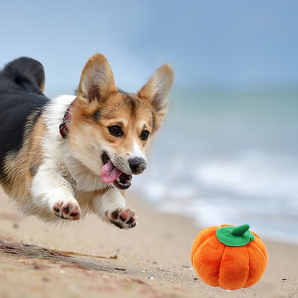 dog plush toy pet plush toy stuffed dog plush toy Dog Plush Toy Cute Pumpkin Carousel 1