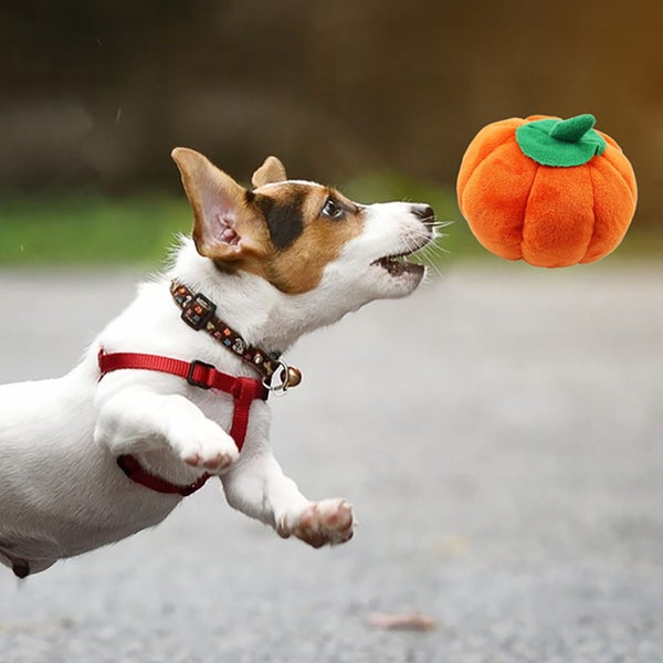 dog plush toy pet plush toy stuffed dog plush toy Dog Plush Toy Cute Pumpkin Carousel 2