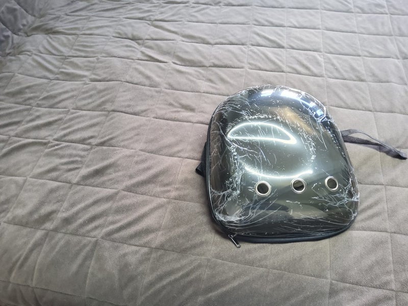 Kitten travel bag Carousel 2