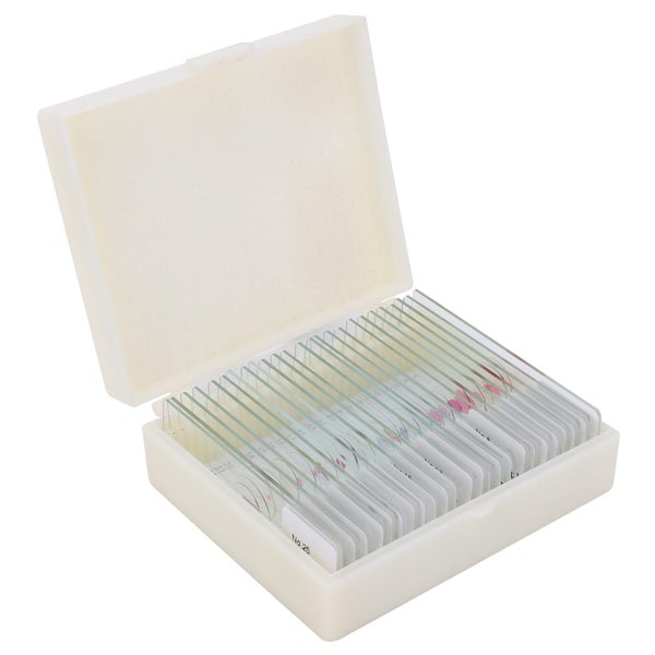 microscope slide DW-25 25Pcs Animal Slides Microscope Sample Slides Specimens Carousel 1