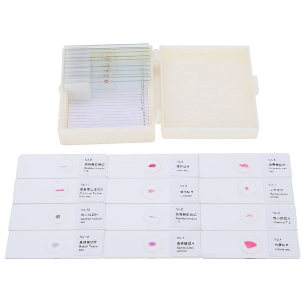 microscope slide DW-25 25Pcs Animal Slides Microscope Sample Slides Specimens Carousel 2