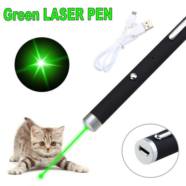 Green laser pointer conference pen teaching demonstration 1mw USB charging pet Carousel 2