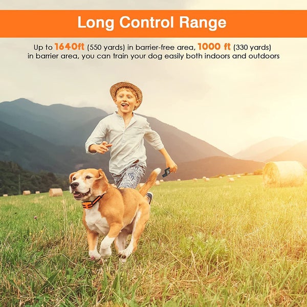 New Dog Training Collars on Afterpay Carousel 6
