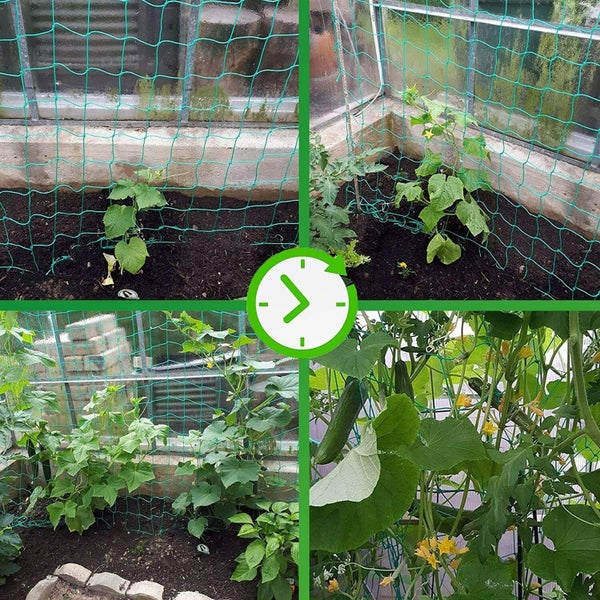 Garden Netting Brand New Carousel 12