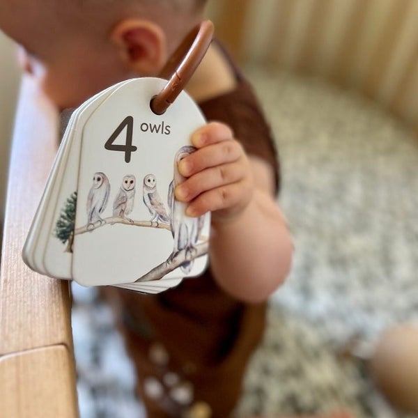 Woodland Colours and Counting Ringed Flash Cards Carousel 5