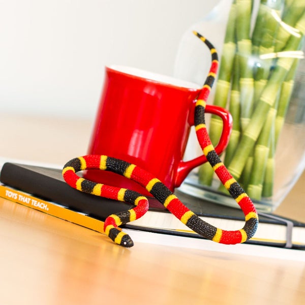 Safari Ltd Coral Snake Baby XL Carousel 8
