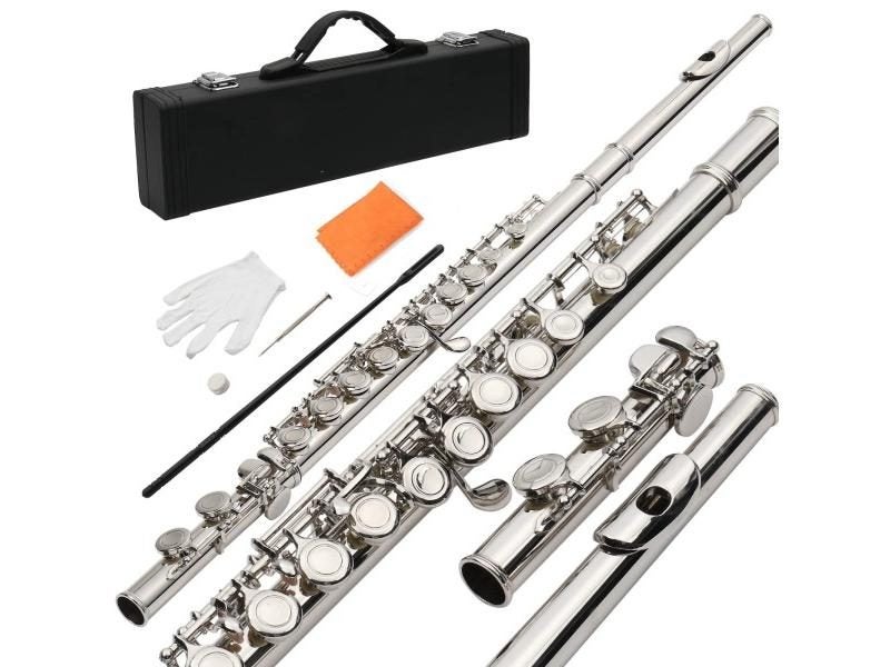 Pogolab Beginner C Flutes 16 Key Closed Hole Musical Instrument Set Cupronickel Carousel 1