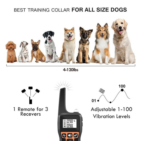 1000m Electric Pet Dog Training Collar Waterproof Rechargeable with 0ne collar Carousel 2