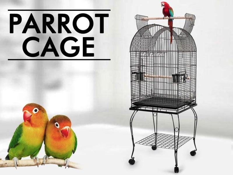 BIRD CAGE Carousel 1
