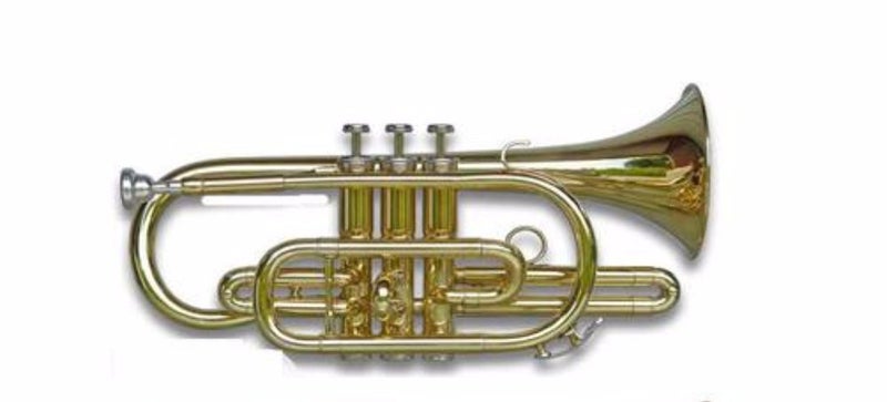USA Brand Fever Cornet with hard case Carousel 1