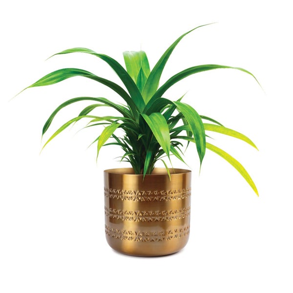 Daru Indoor Metal Planter 21cm - Brass Finish Carousel 2