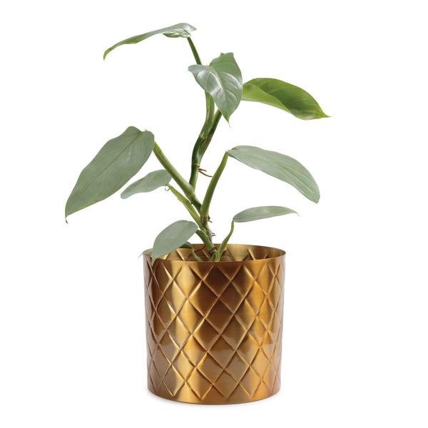Khana Indoor Metal Planter 21cm - Brass Finish Carousel 3