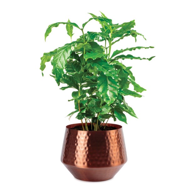 Bakra Indoor Metal Planter 17cm - Rose Gold Finish Carousel 3
