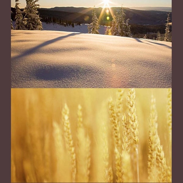 For Xiaomi Xiaoyi Yi Ii 4k Sport Action Camera Professional Hd Slim Mcuv Lens... Carousel 9