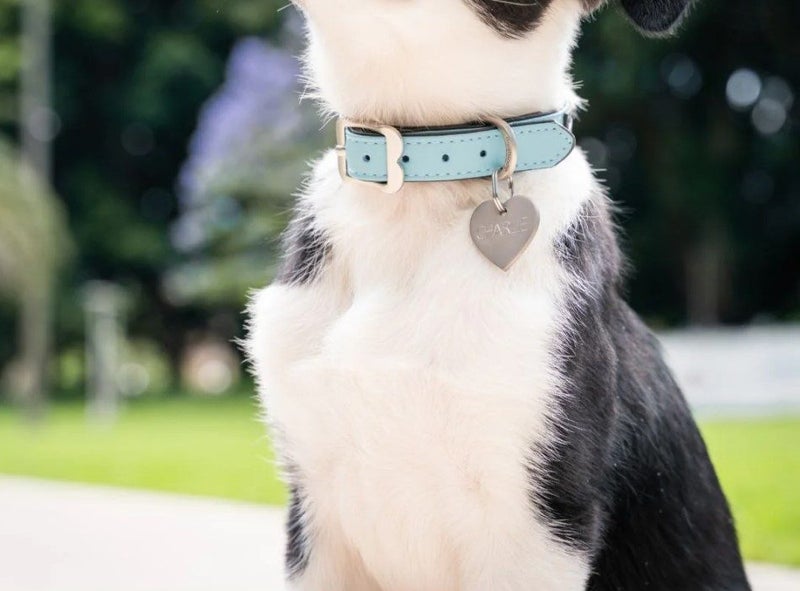 DOG & LEAD COLLAR SET RED DINGO ELEGANT RED MEDIUM-LARGE SAVE 50% Carousel 8