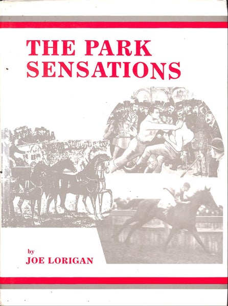 The Park Sensations by Joe Lorigan Carousel 1