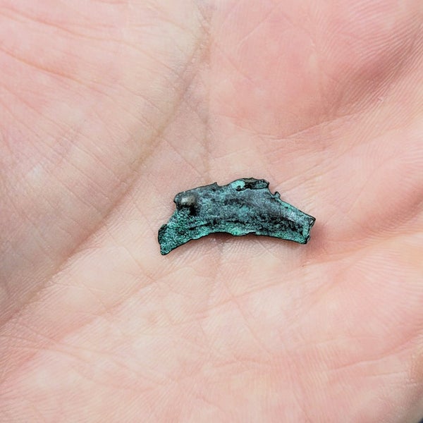 Scythia, Olbia Bronze Dolphin Money. 500 - 400 BC Carousel 1
