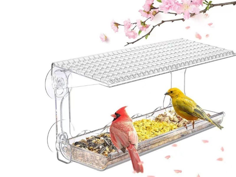 Outdoors Window Clear Bird Feeder with Strong Suction Cups Carousel 1