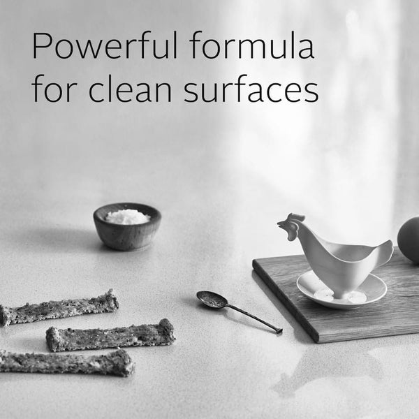 Ecostore Spray Cleaner Multi Purpose Citrus Trigger 500mL Carousel 6