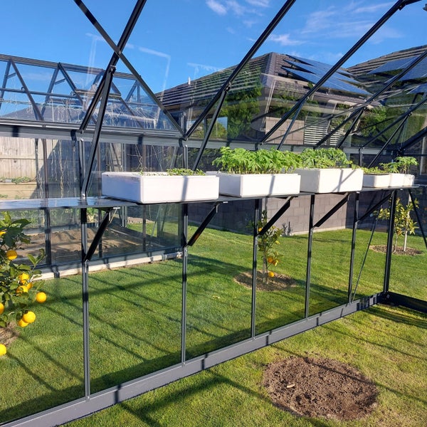 Fairway Glasshouse 8x14ft62953804332546113