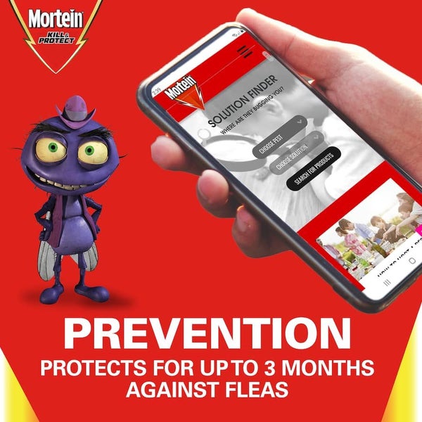 Mortein Kill & Protect Crawling Insect Bomb 3pack Carousel 7
