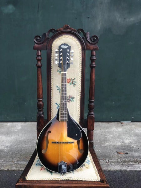 Brand New Washburn Mandolin Carousel 1