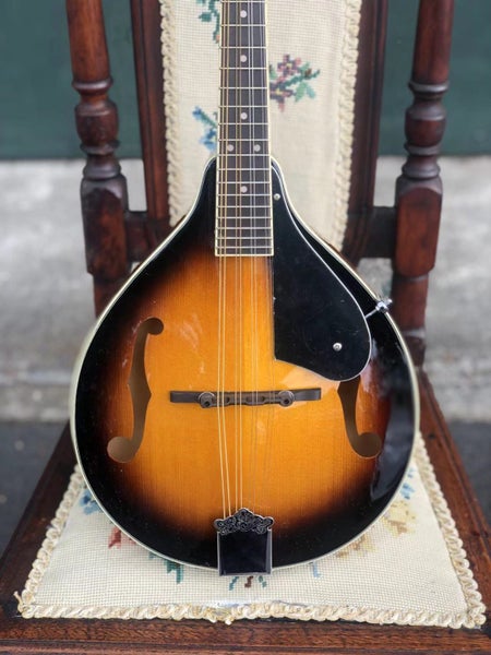 Brand New Washburn Mandolin Carousel 2