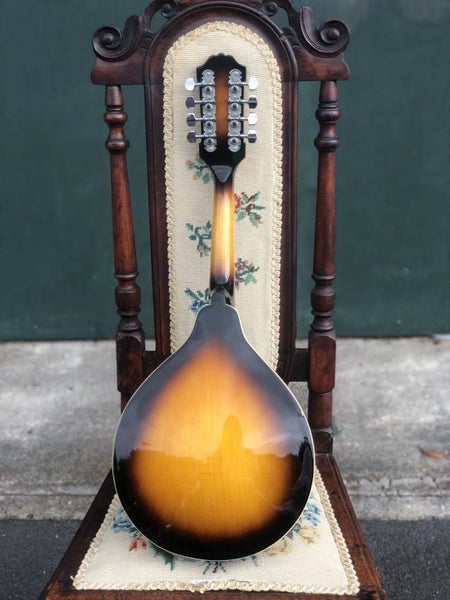Brand New Washburn Mandolin Carousel 4