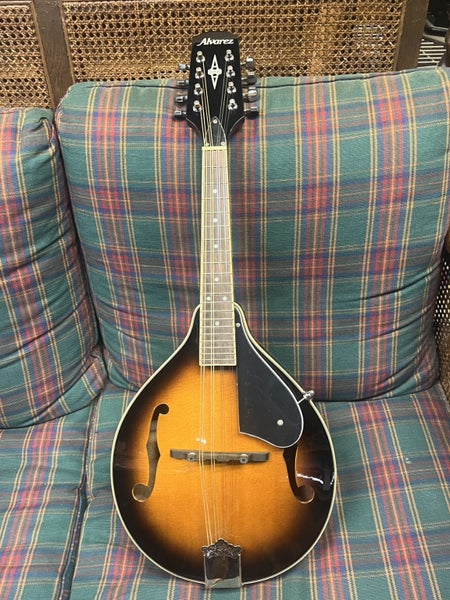 Brand New Alvarez Mandolin Carousel 1